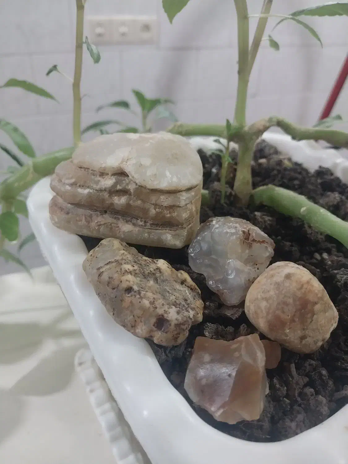 سنگ عقیق|بدلیجات|اردبیل, |دیوار