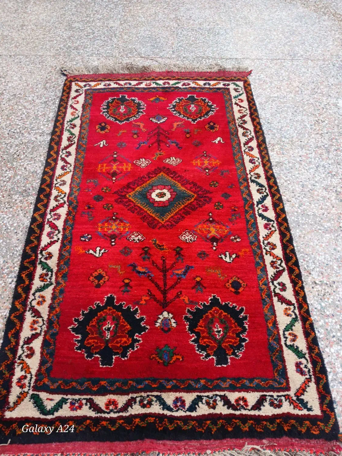 فرش دستبافت قدیمی که با حساسیت نگه داری شده|فرش|مرودشت, نقش رستم|دیوار