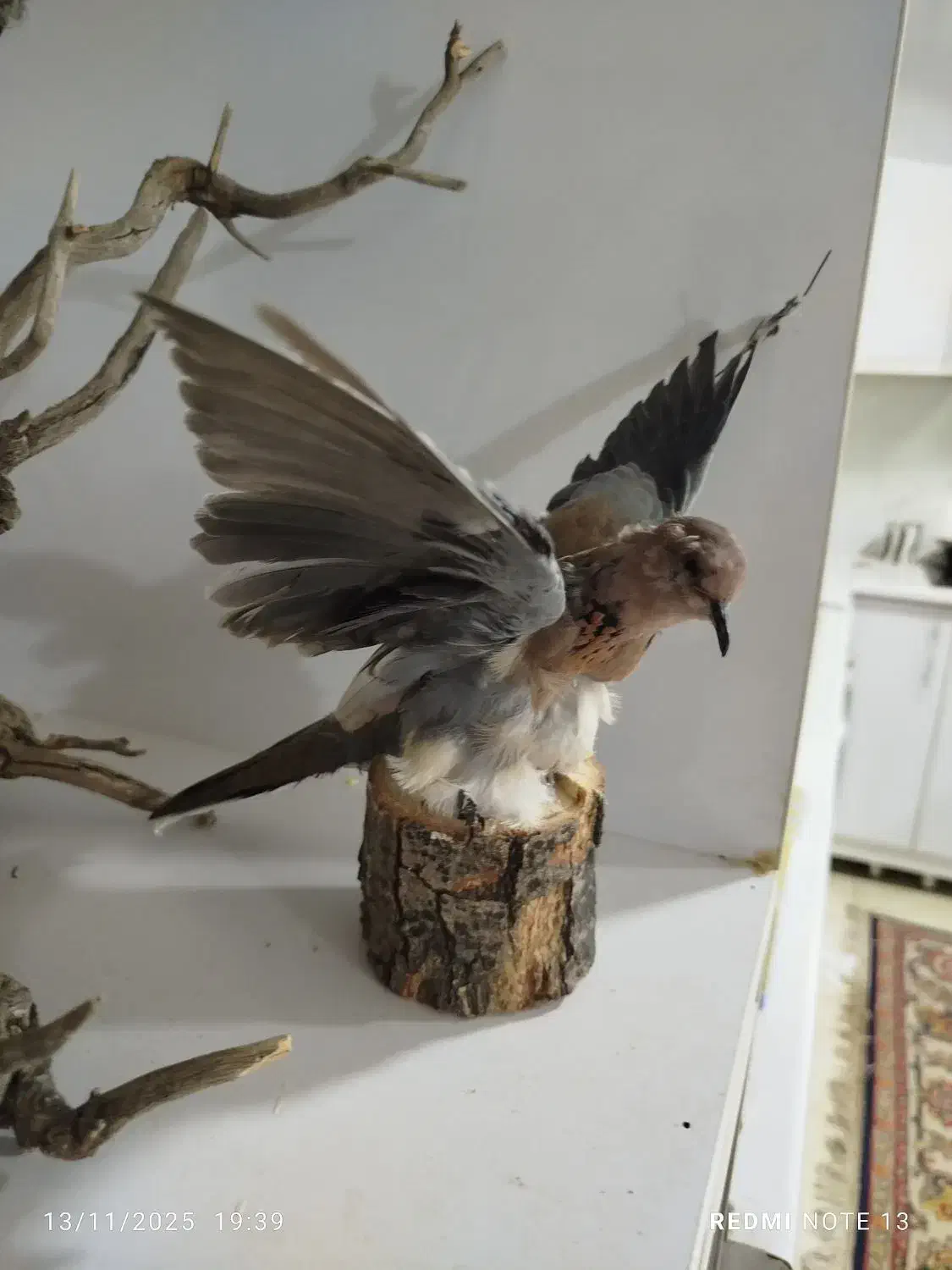 مجسمه|مجسمه، تندیس، ماکت|ایلام, |دیوار