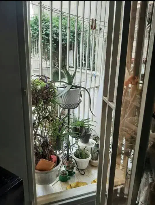 ۵۴ متر تک خواب خوش نقشه