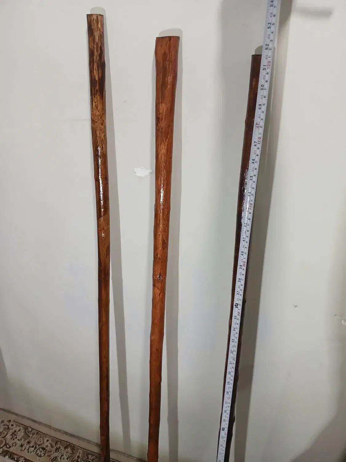 جنگلی درجه۱|حراج|شوش, |دیوار