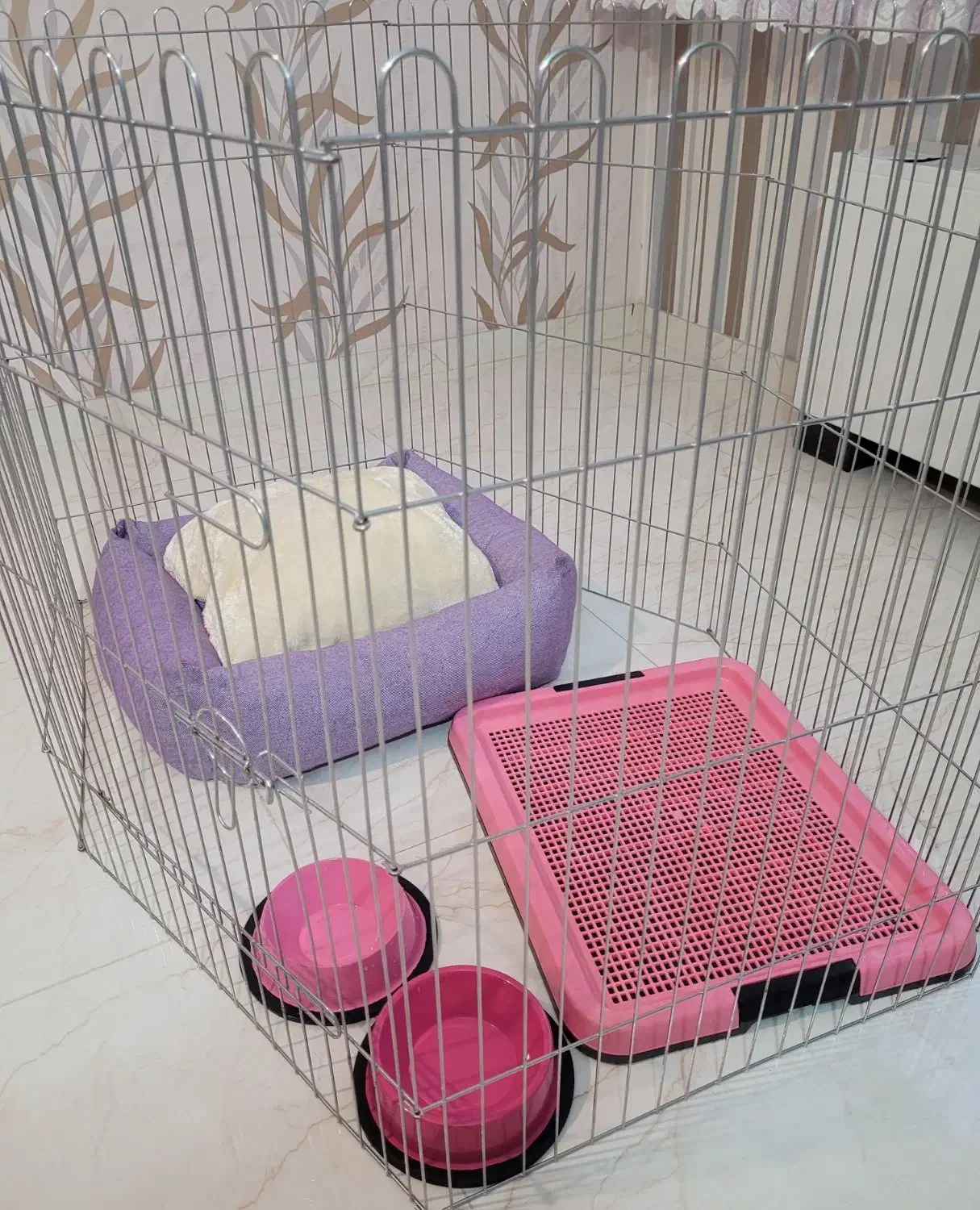 لوازم سگ خانگی|لوازم جانبی حیوانات|تهران, کوی بیمه|دیوار