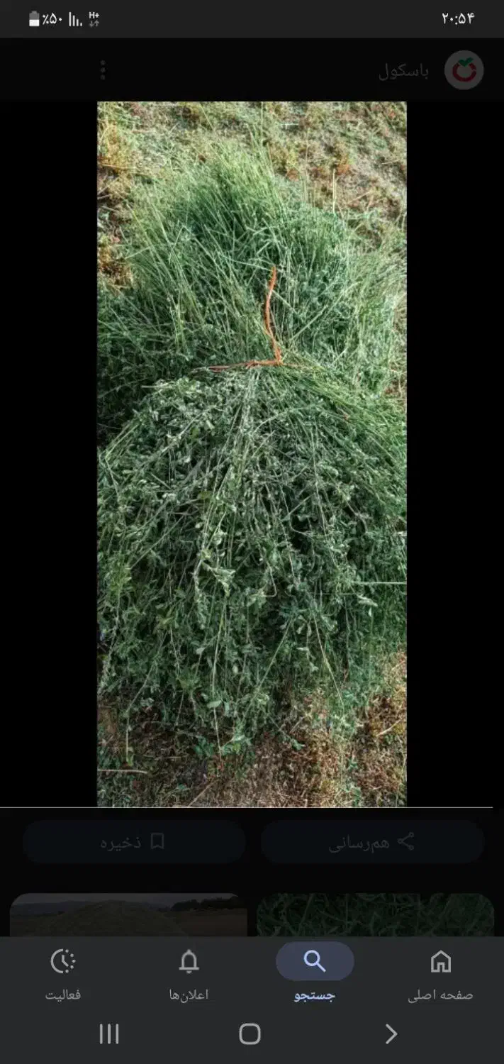 یونجه بنچه|لوازم جانبی حیوانات|بجنورد, |دیوار