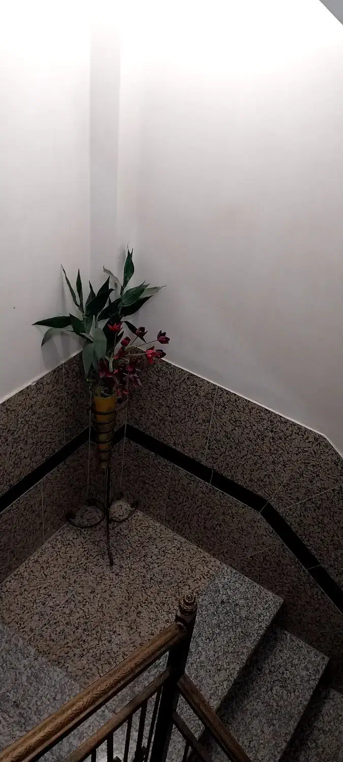 زلم زیبو|صنایع دستی و سایر لوازم تزئینی|ابریشم, |دیوار