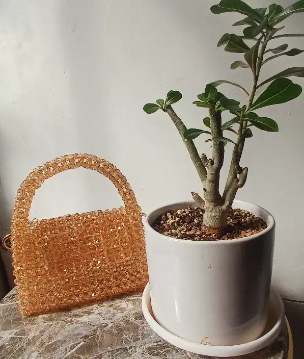 کیف مرواریدی|کیف، کفش، کمربند|یزد, |دیوار