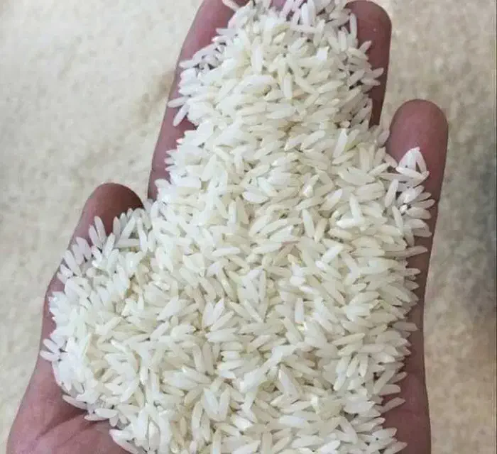 برنج طارم|خوردنی و آشامیدنی|ایلام, |دیوار