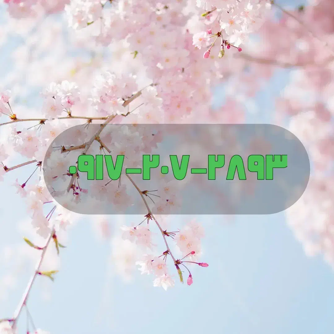 سیم کارت همراه اول|سیم‌کارت|شیراز, شهرک گلستان|دیوار