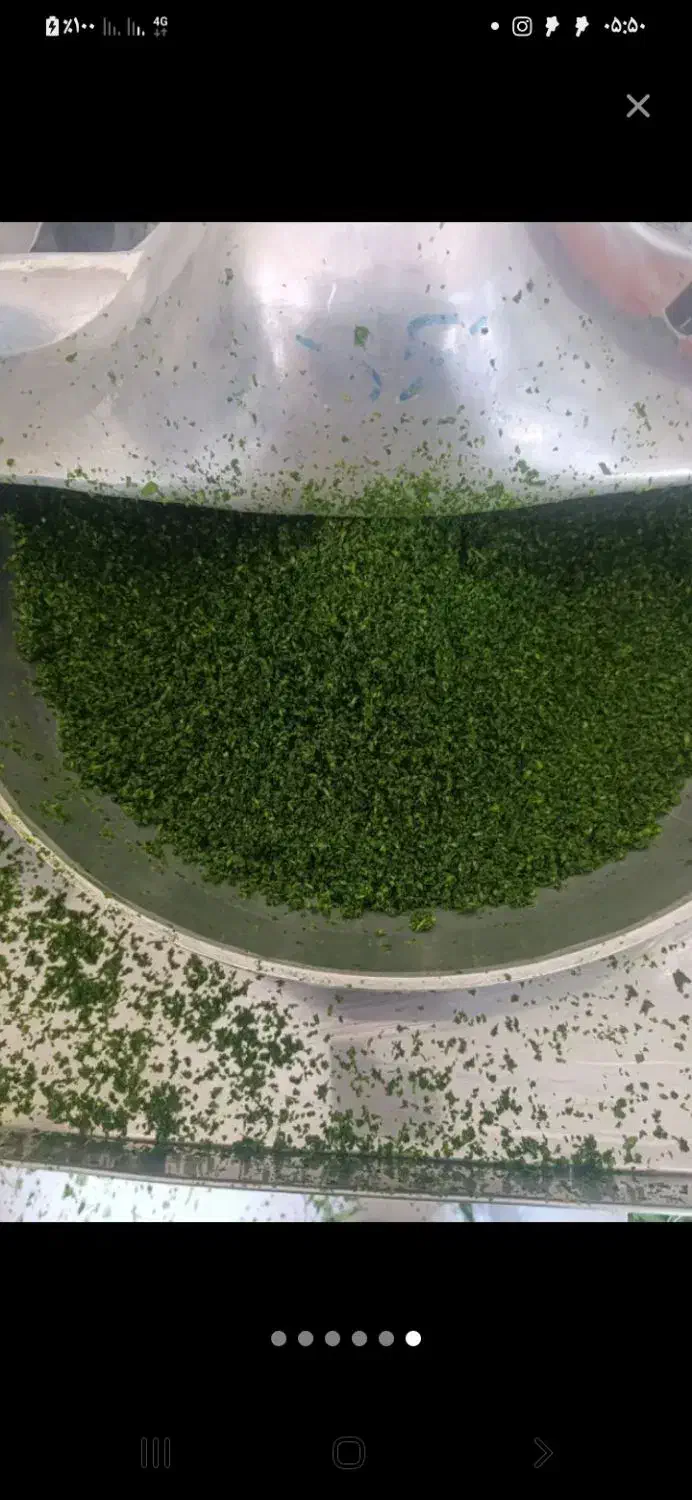 سبزی خردکن بشقابی دهنه ۶۰|فروشگاه و مغازه|اصفهان, شمس آباد|دیوار