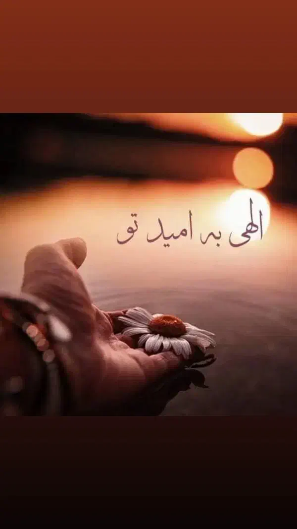 سرمایه گذاری|استخدام مالی، حسابداری، حقوقی|اهواز, فرهنگ شهر|دیوار