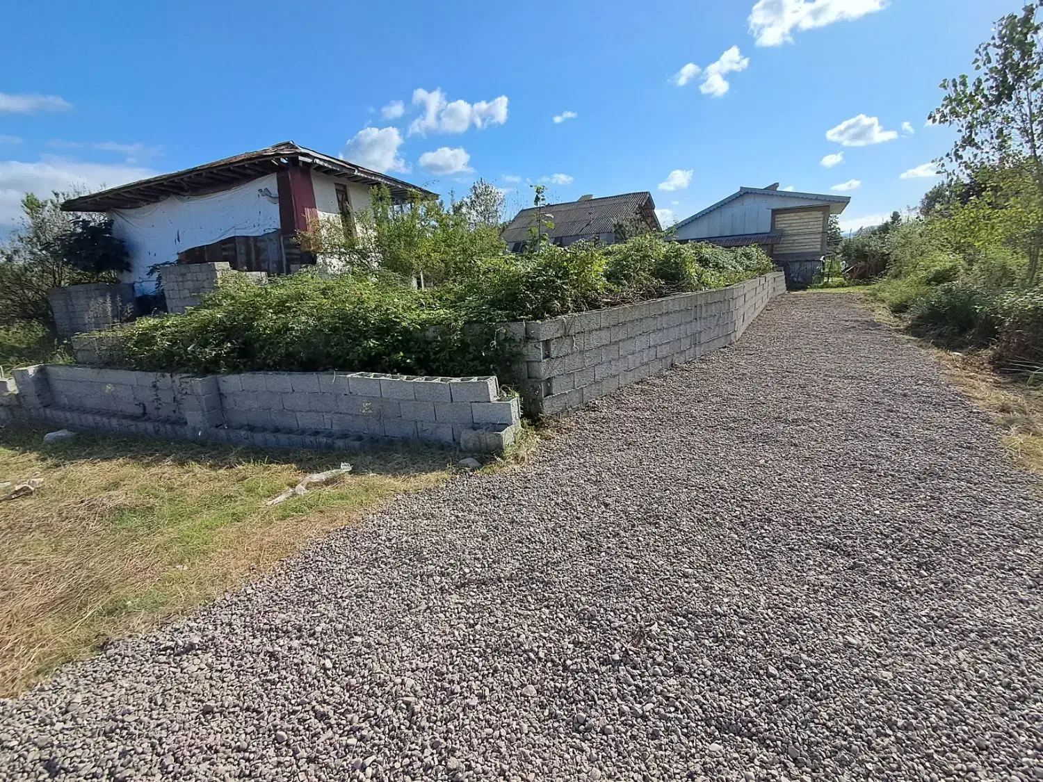 زمین مسکونی دوردیوار در روستای مردخه|فروش زمین و ملک کلنگی|شفت, |دیوار