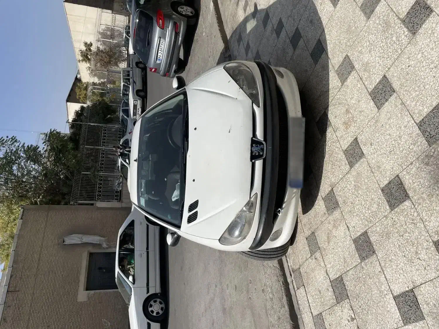 206sd tu5 شکار|خودرو سواری و وانت|مشهد, شیرودی|دیوار