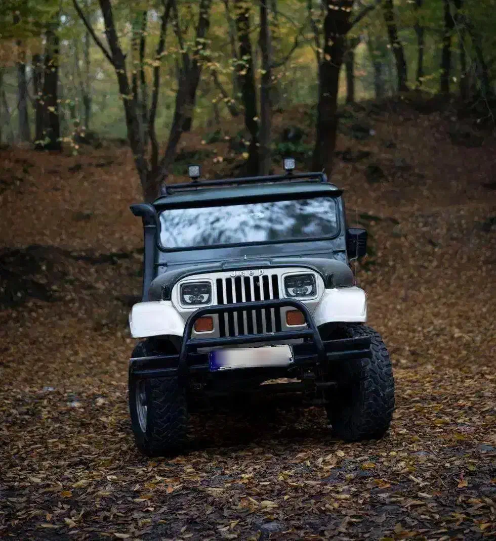 جیپ صحرا ،مدل کالسکه|خودرو سواری و وانت|گرگان, |دیوار