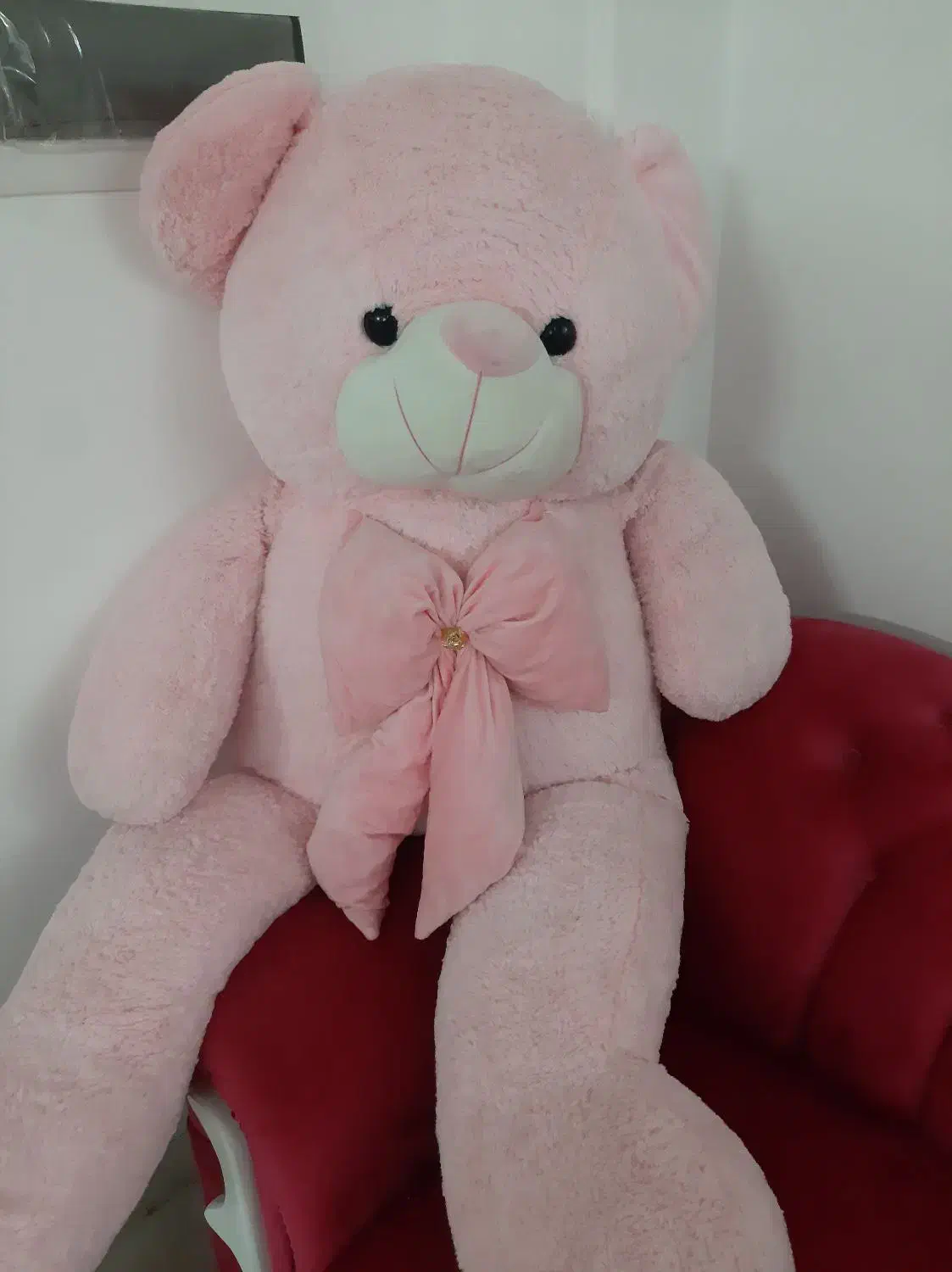 خرس بزرگ|اسباب‌‌بازی|قم, حاج زینل|دیوار