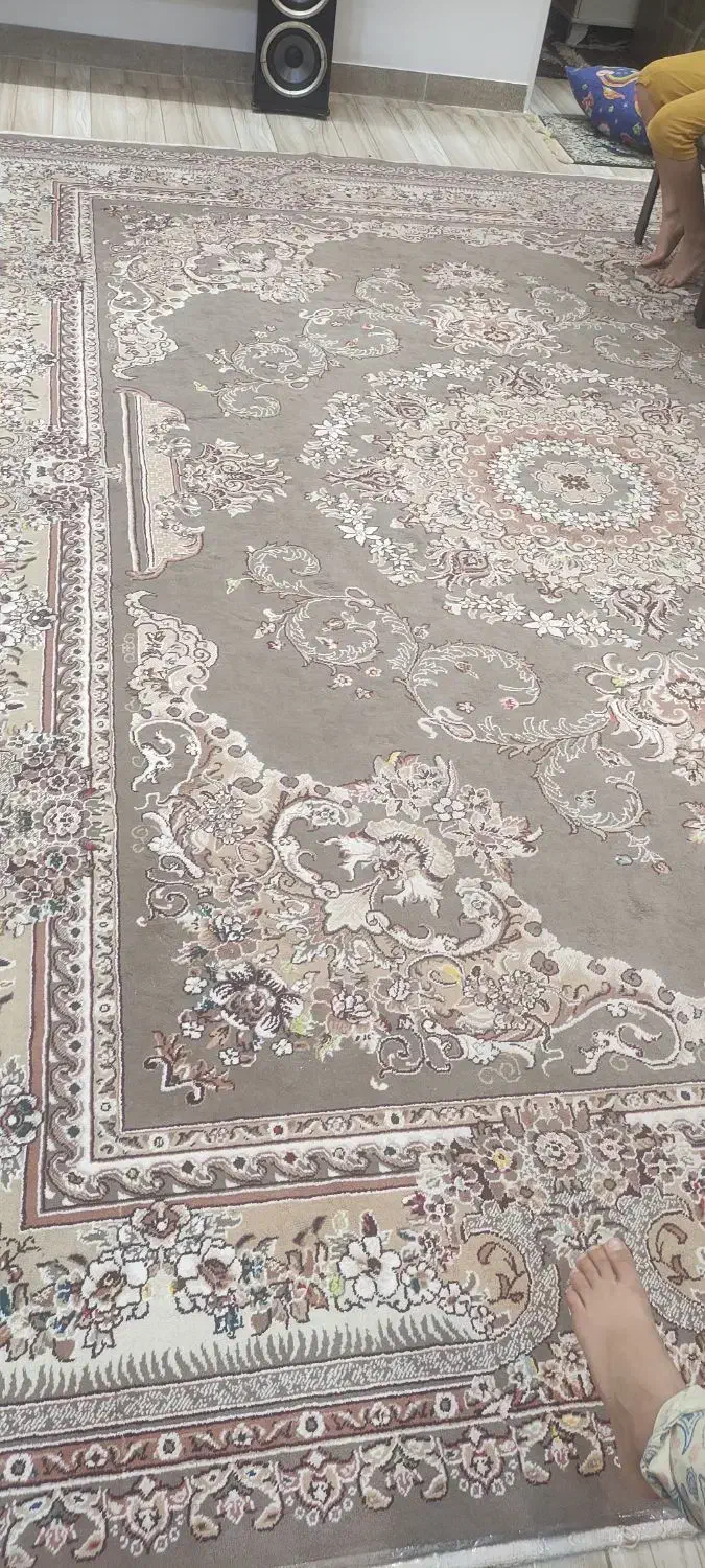 فرش|فرش|رشت, کوی امام رضا|دیوار