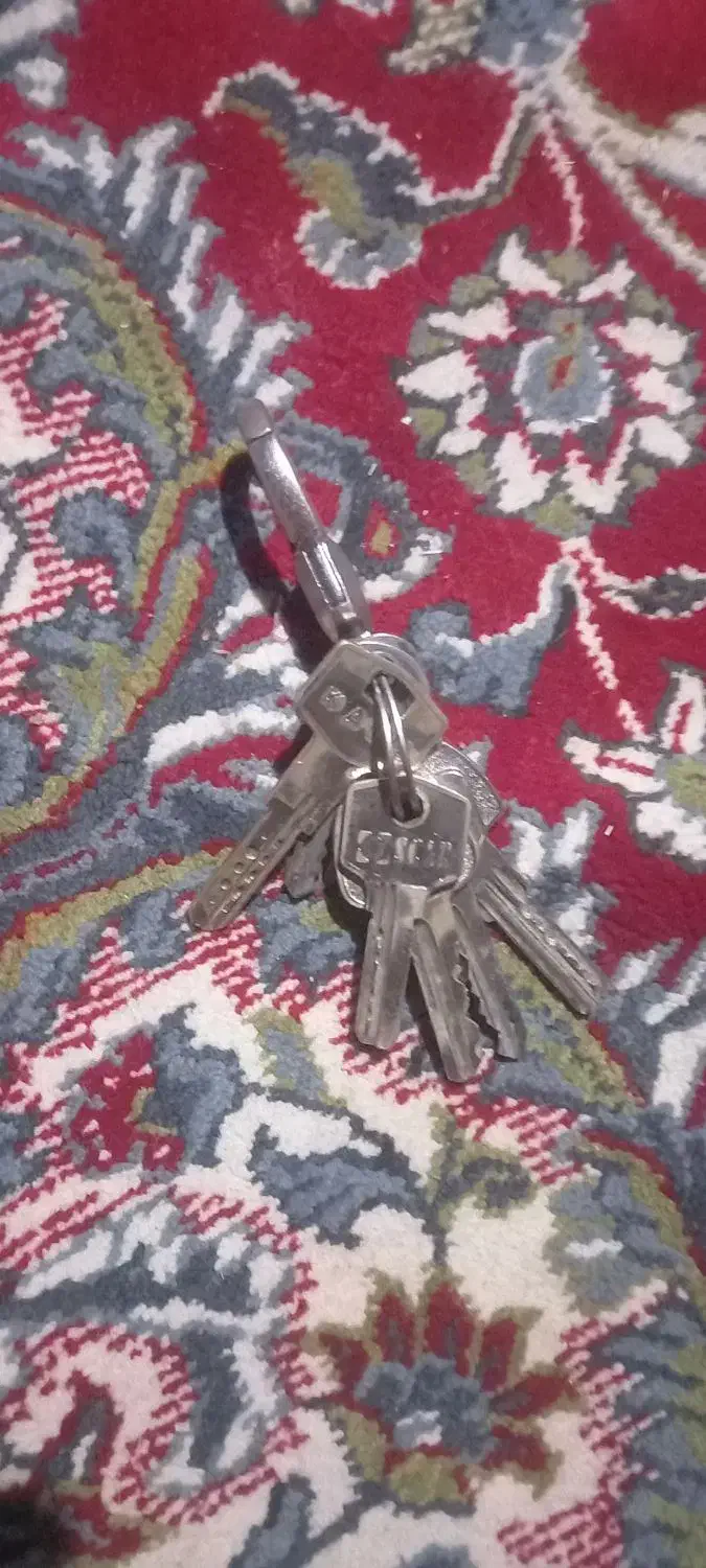 فراشه .کلید|اشیا|کارزان, |دیوار