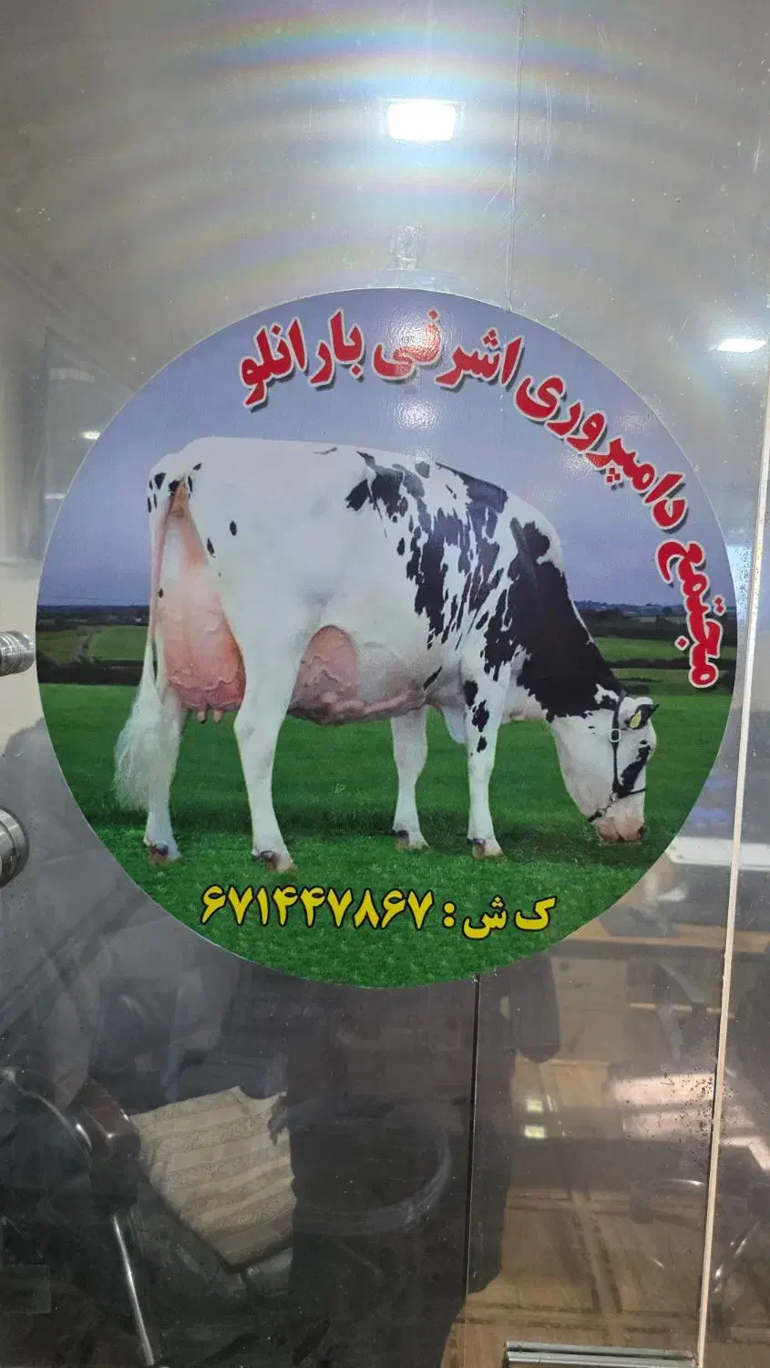 آشپزی و نظافت محل کار|استخدام خدمات فروشگاه و رستوران|خسروشاه, |دیوار