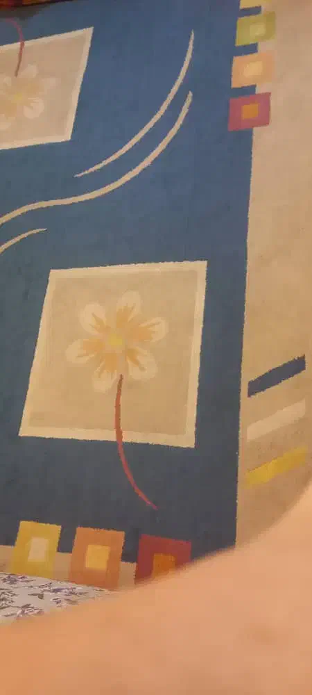 فرش گلیم ۶ متری همراه پادری سالم|گلیم، جاجیم، گبه|اندیمشک, |دیوار