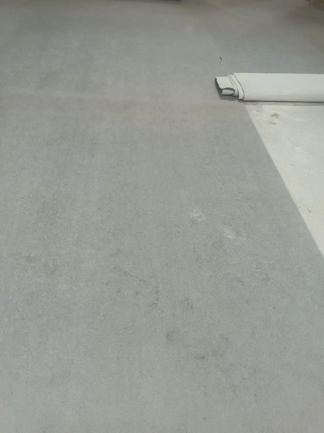 پالاز موکت|موکت|مسجد سلیمان, |دیوار