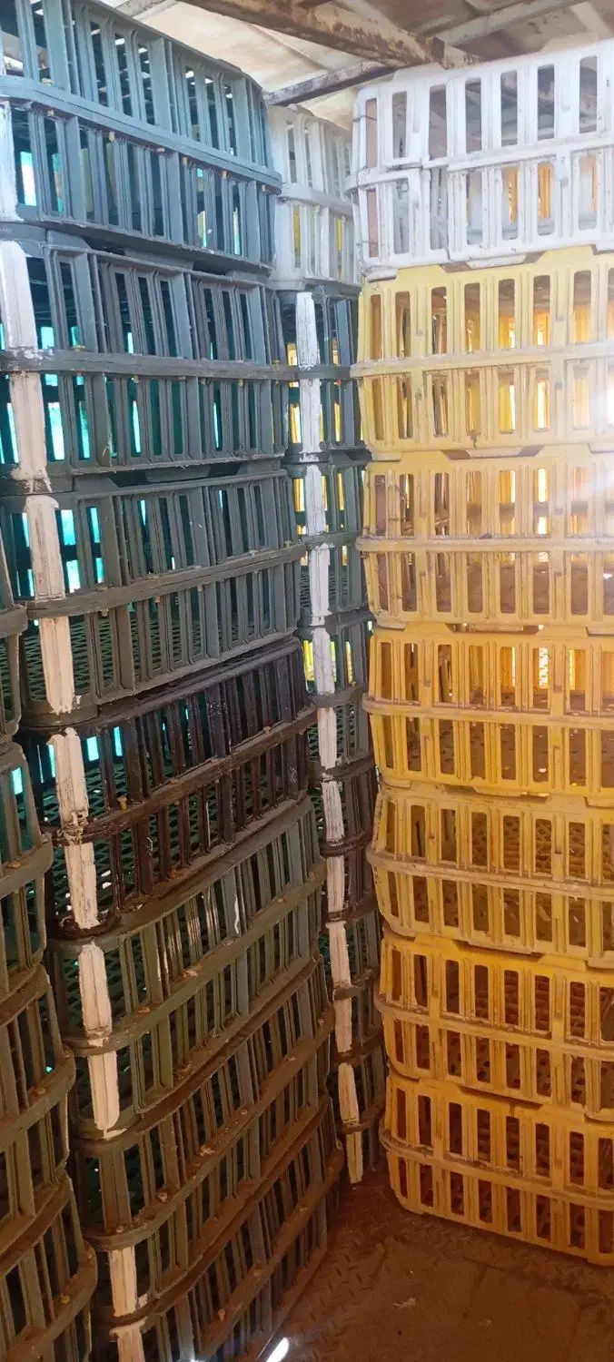 قفس مرغ زنده|فروشگاه و مغازه|باسمنج, |دیوار