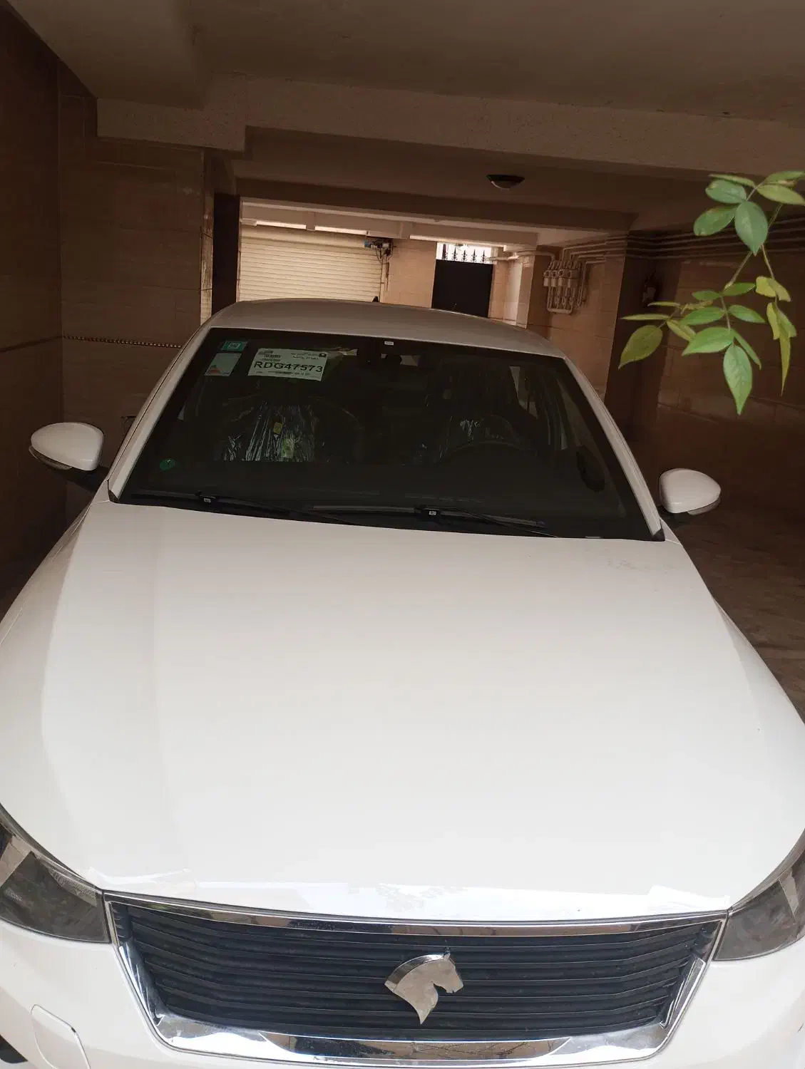 فروش تارا خشک403|خودرو سواری و وانت|رشت, باهنر|دیوار