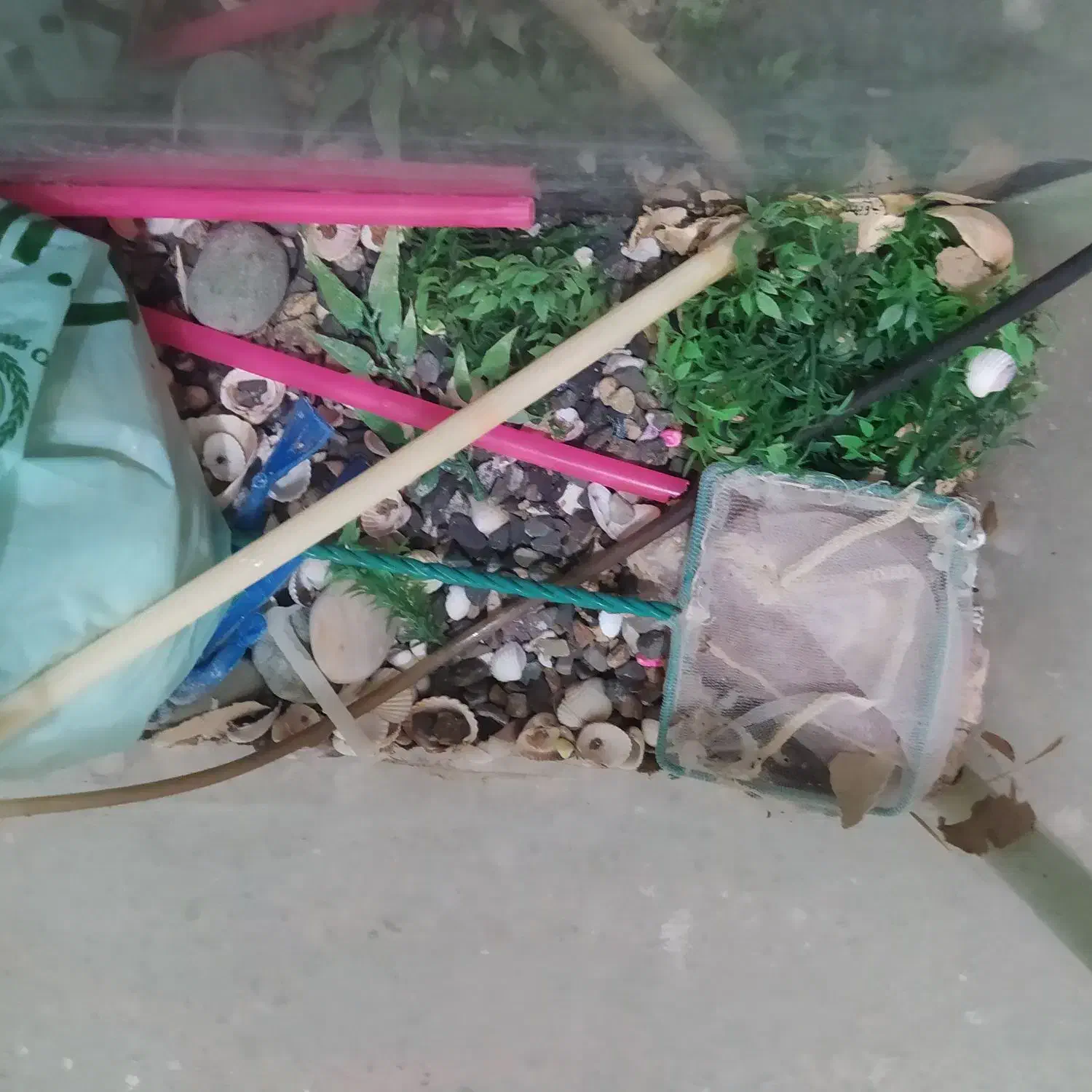 آکواریوم و لوازم جانبی آکواریوم|ماهی|تبریز, |دیوار