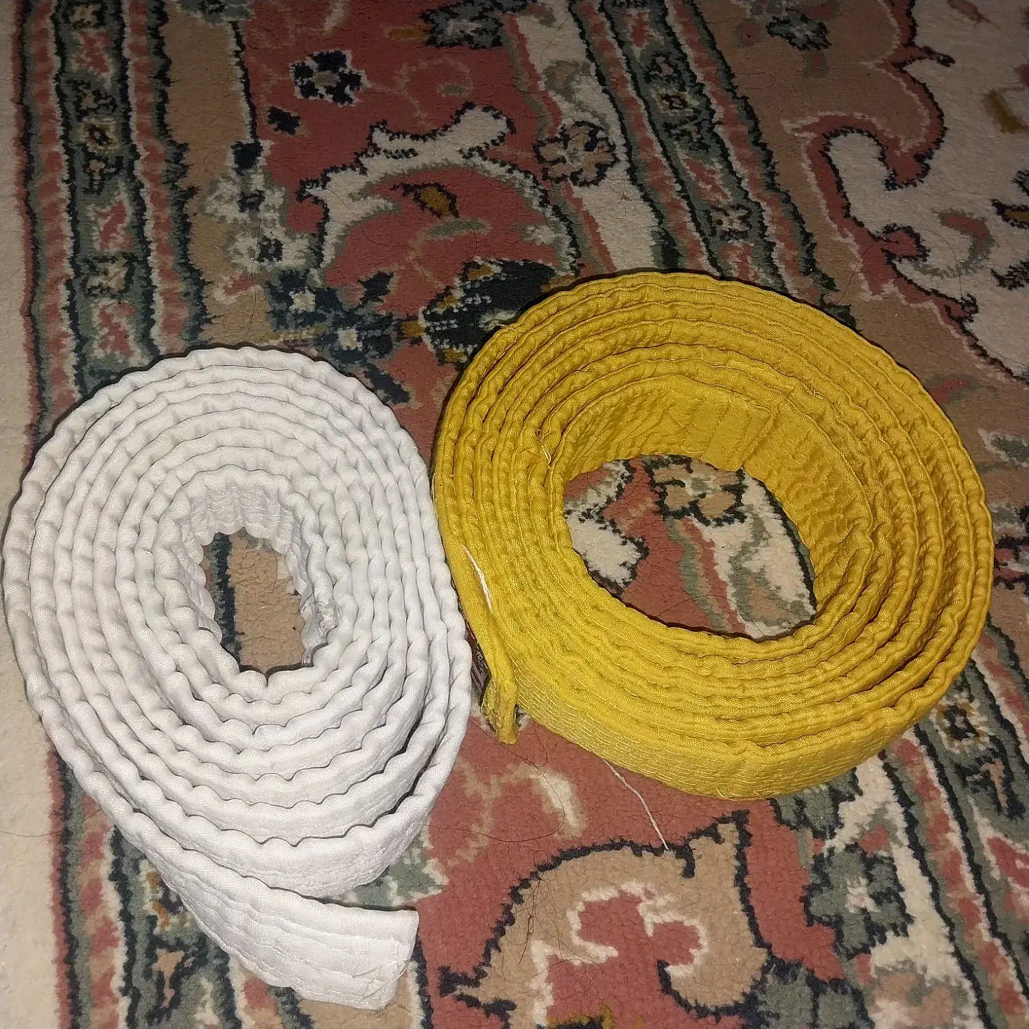 کمربند جودو|تجهیزات ورزشی|آستارا, |دیوار