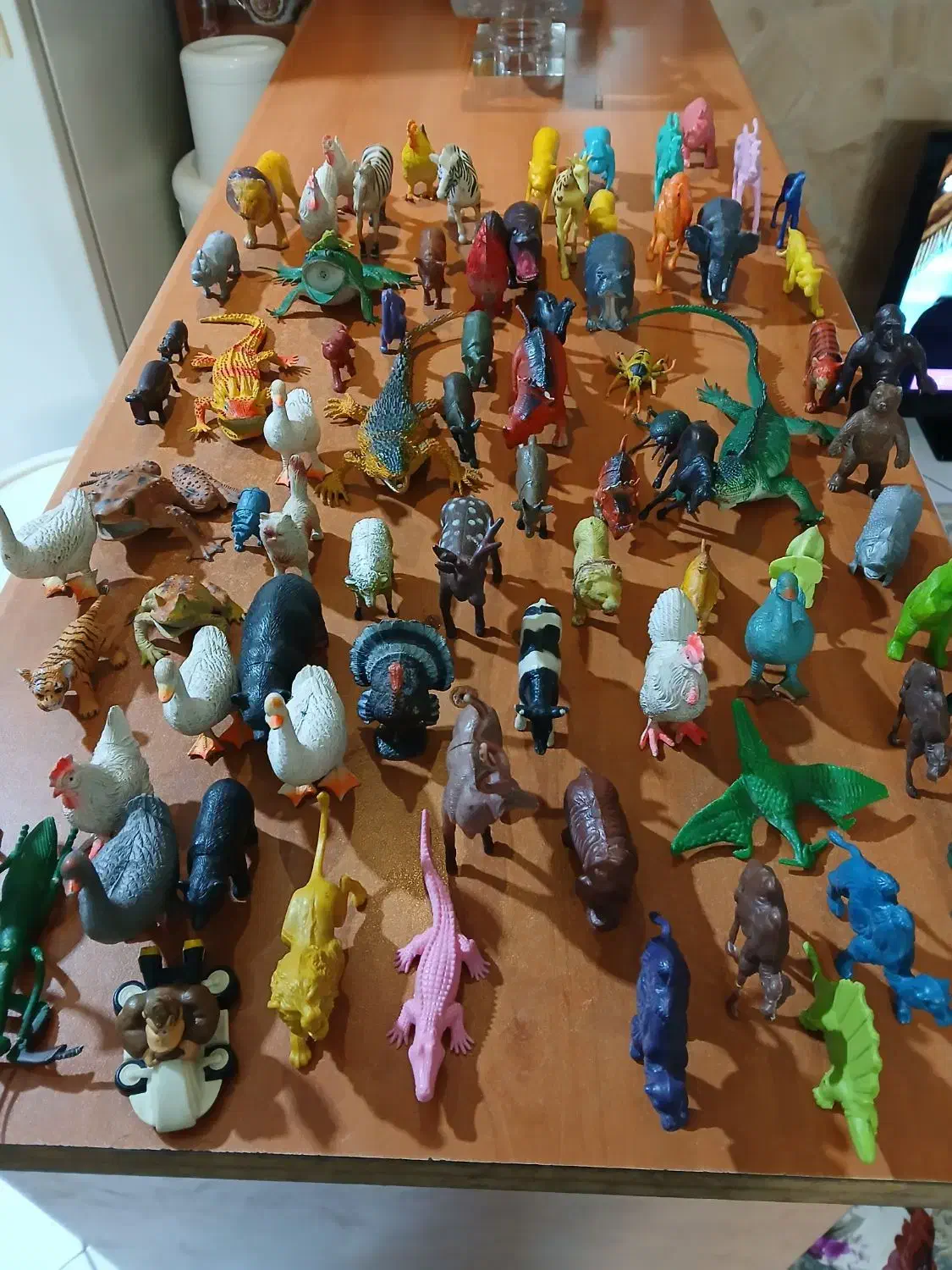 حیوانات اسباب بازی|اسباب‌‌بازی|ری, فیروزآبادی|دیوار