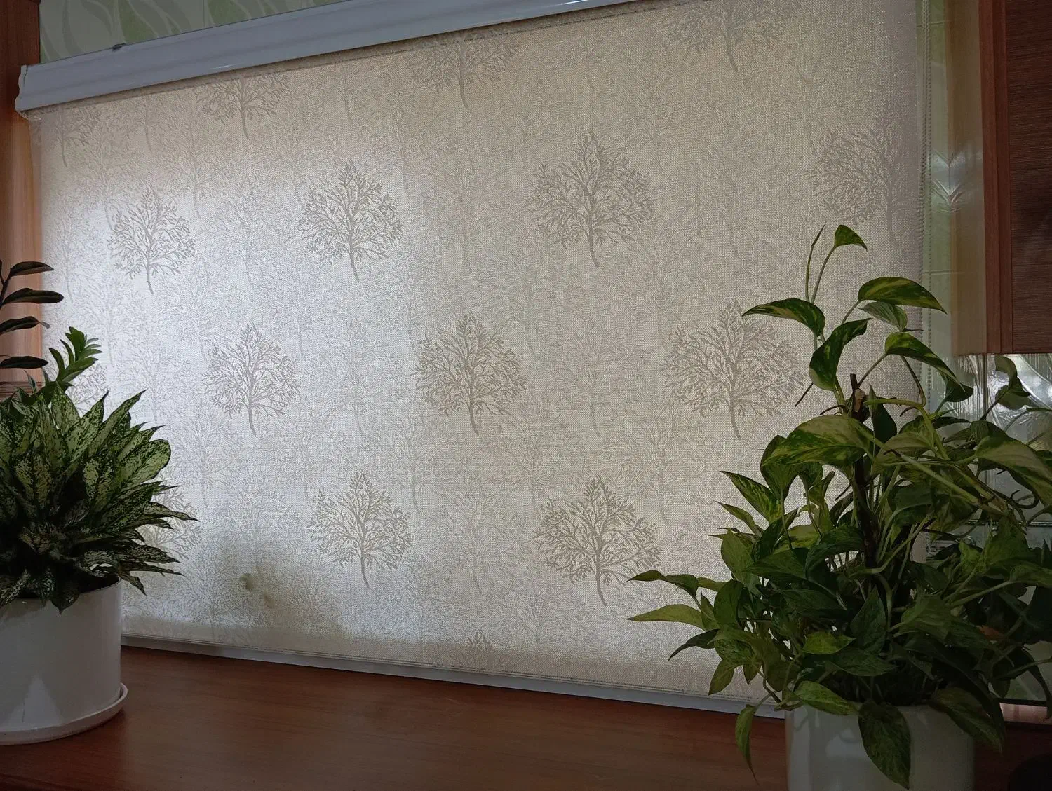 فروش لوازم خانه|اجاق گاز و لوازم برقی پختوپز|رامسر, |دیوار