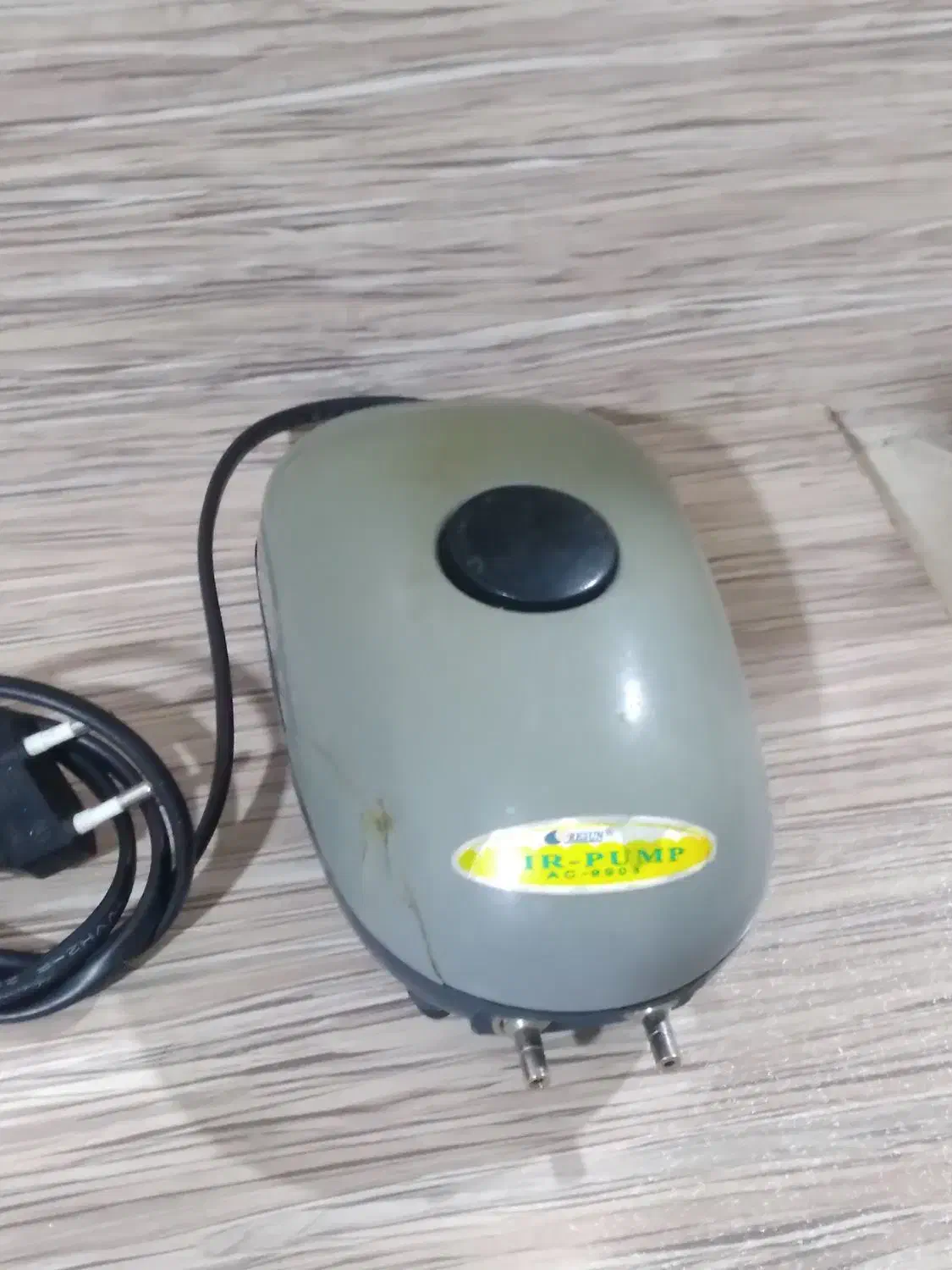 وسایل تزئینات آکواریوم|ماهی|سهند, |دیوار