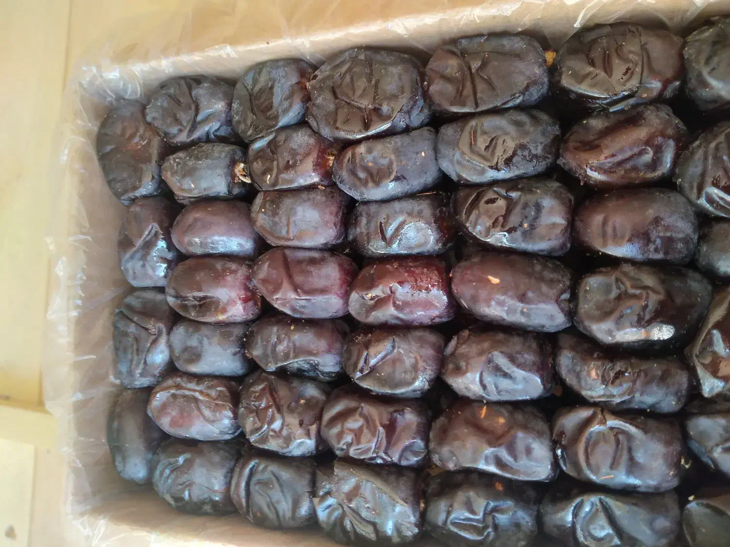 عرضه مستقیم خرما و رطب درجه یک|خوردنی و آشامیدنی|مشهد, کوی دروی|دیوار