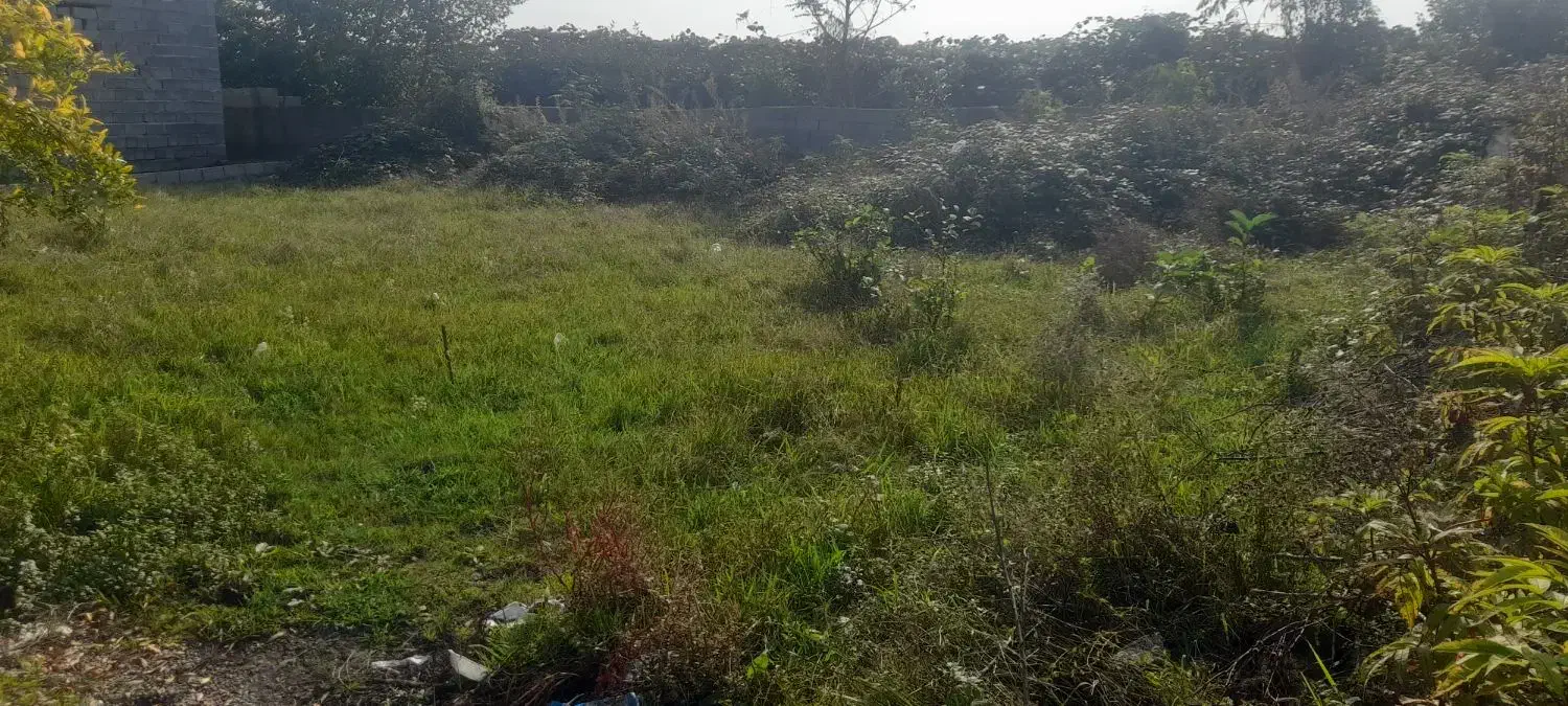 زمین مسکونی|فروش زمین و ملک کلنگی|حویق, |دیوار