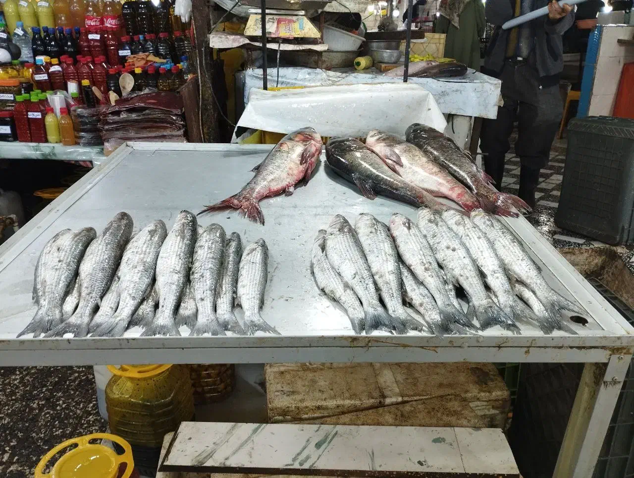 ماهی تازه دریایی|خوردنی و آشامیدنی|تهران, میرداماد|دیوار