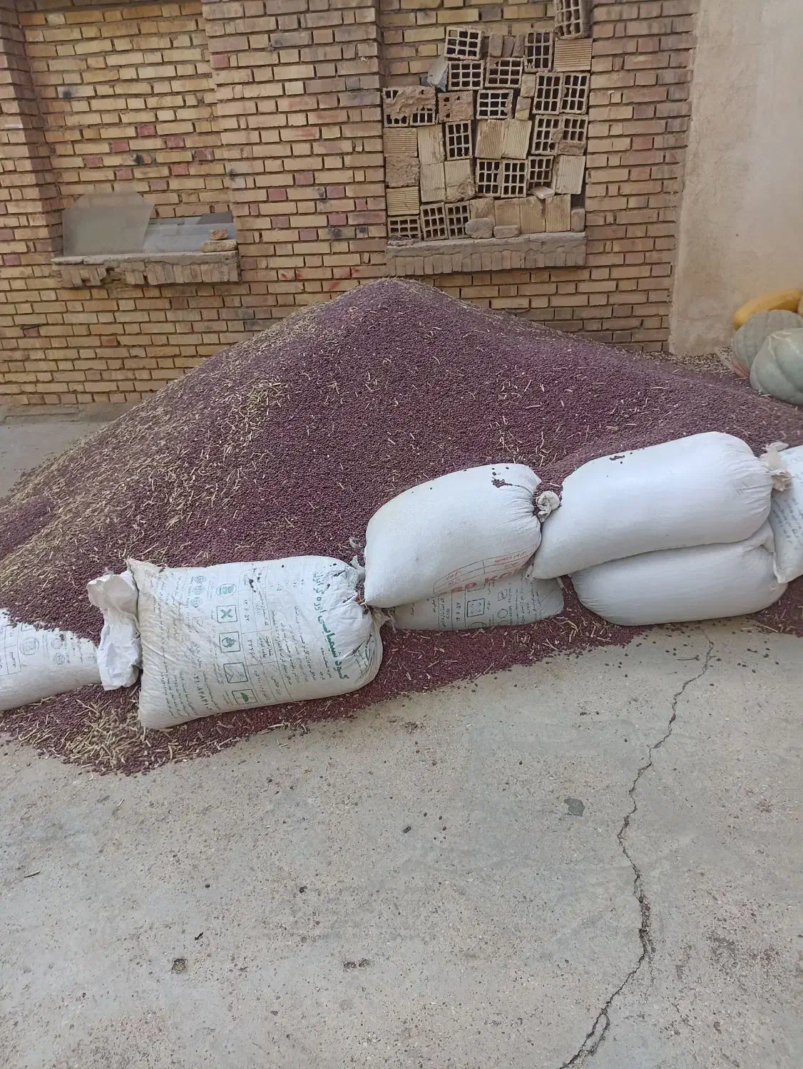 لوبیاقرمز|خوردنی و آشامیدنی|فارسان, |دیوار