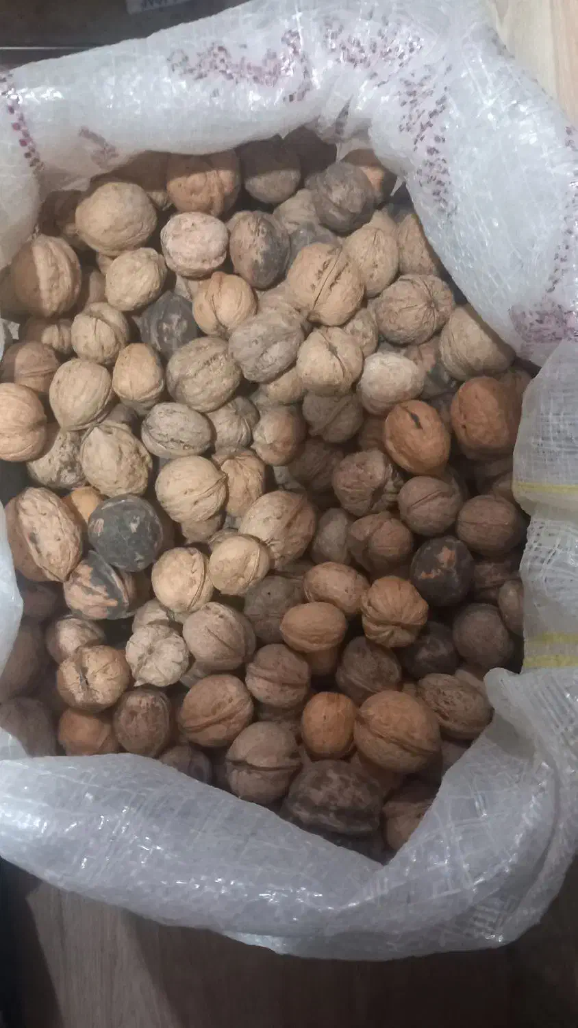 گردو اعلا|خوردنی و آشامیدنی|عنبران, |دیوار