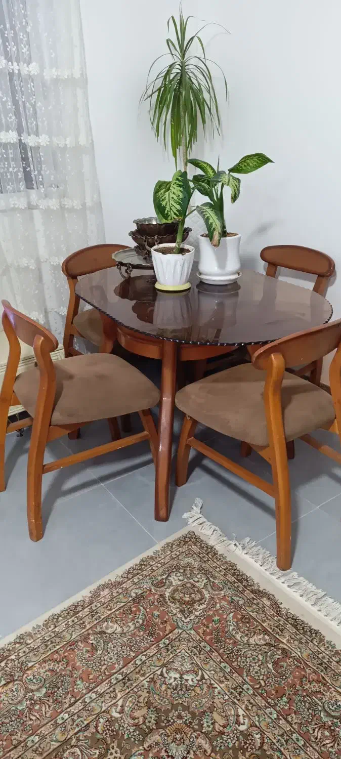 میز نهارخوری 4 نفره با صندلی های مبلی (چوب راش)|میز و صندلی غذاخوری|زرندیه, |دیوار