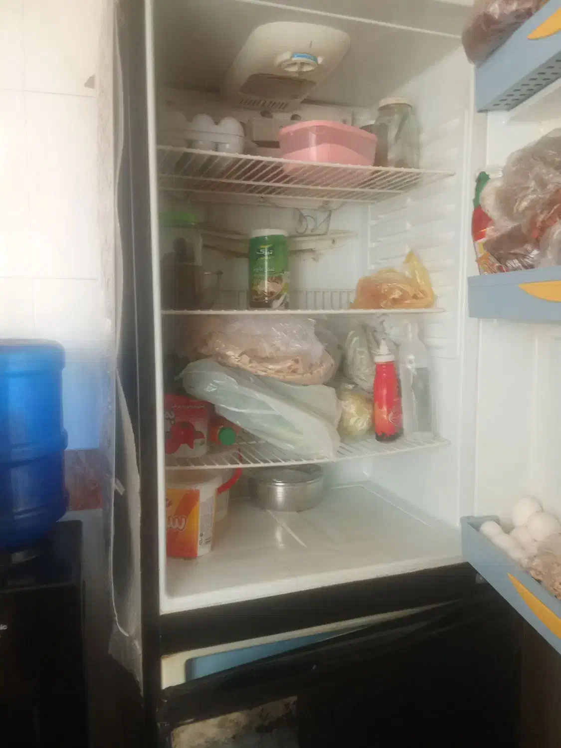 یخچال|یخچال و فریزر|شیراز, تندگویان|دیوار