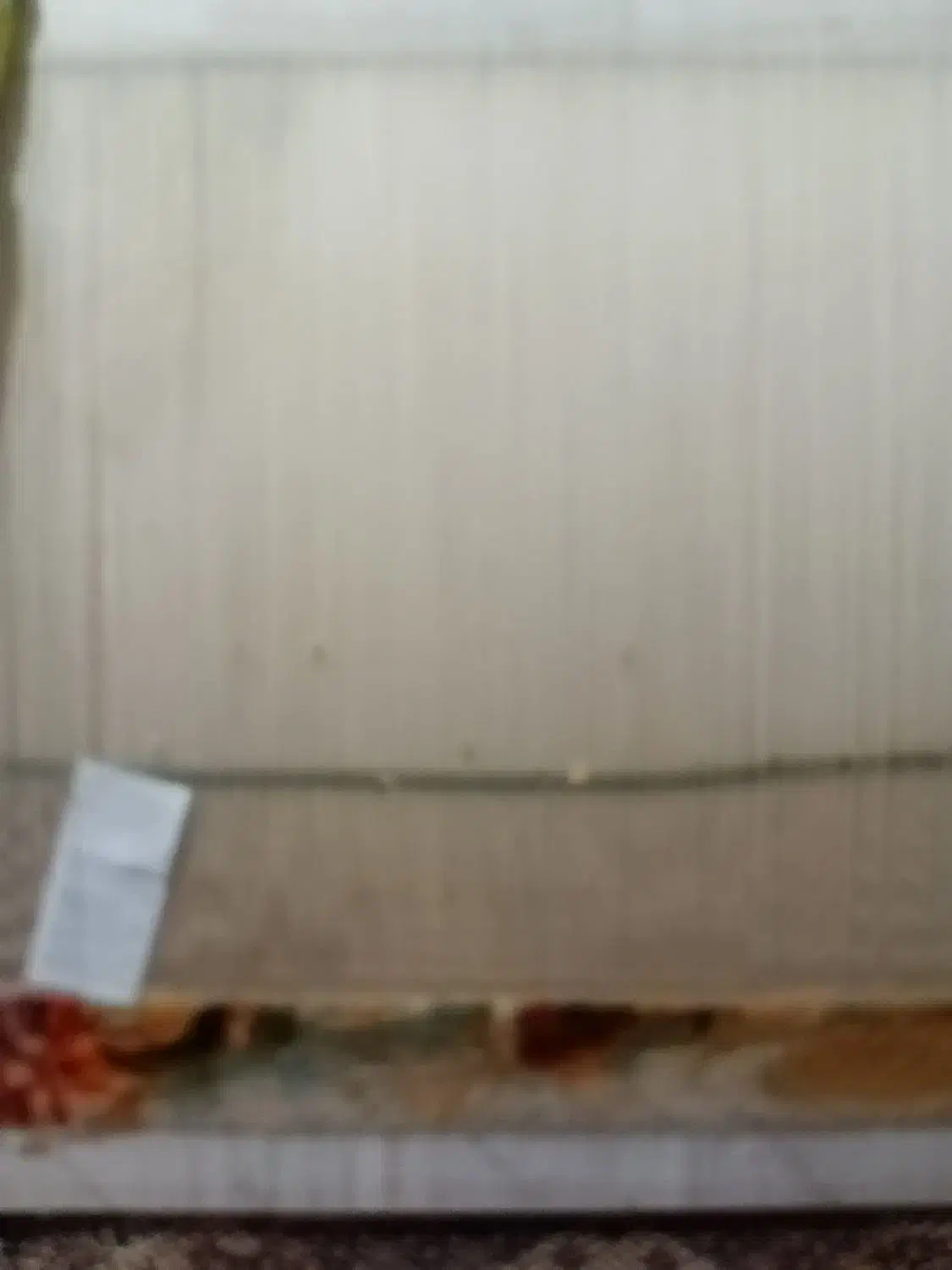 تابلو فرش نیمه|فرش|خوی, |دیوار