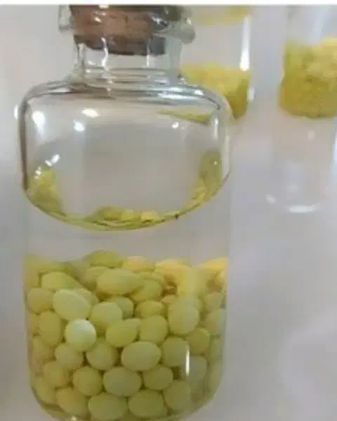 فروش خاویارحلزون درجه یک|آرایشی، بهداشتی، درمانی|رباط‌کریم, رباط‌کریم|دیوار