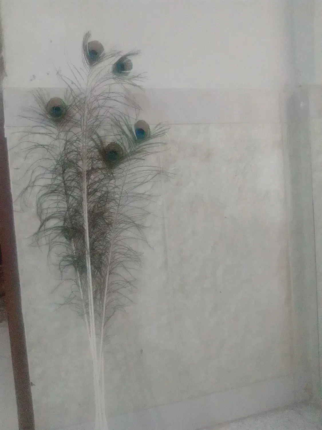 گلدون طاووس.|گل مصنوعی|مشهد, عنصری|دیوار