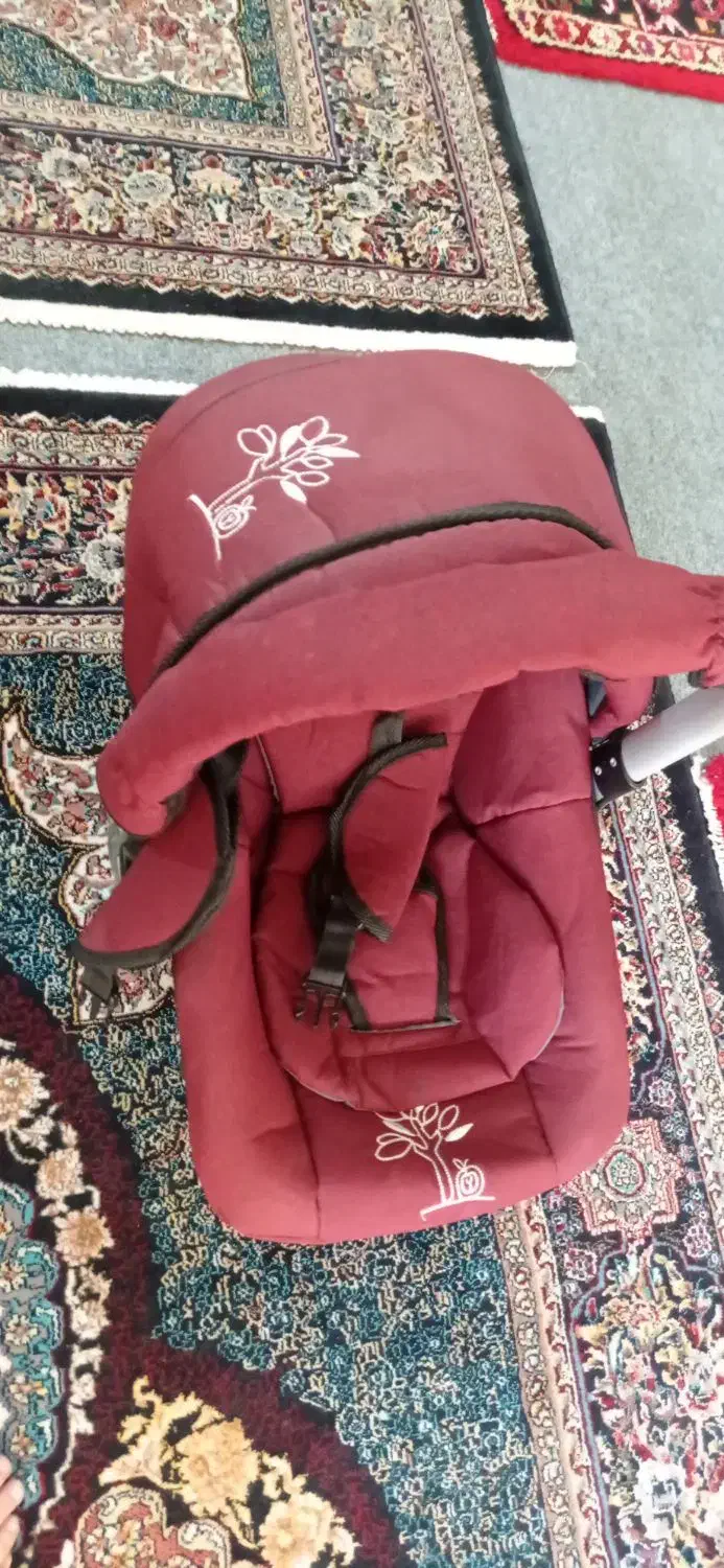 ست کالسکه|کالسکه و لوازم جانبی|سراب, |دیوار