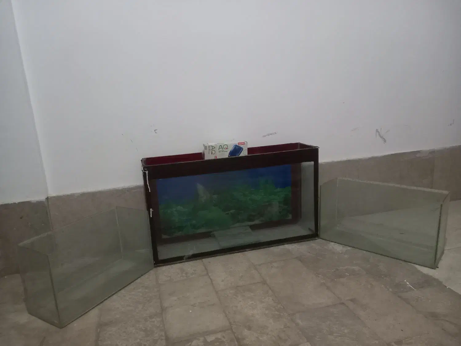 اکواریوم|ماهی|بیرجند, |دیوار