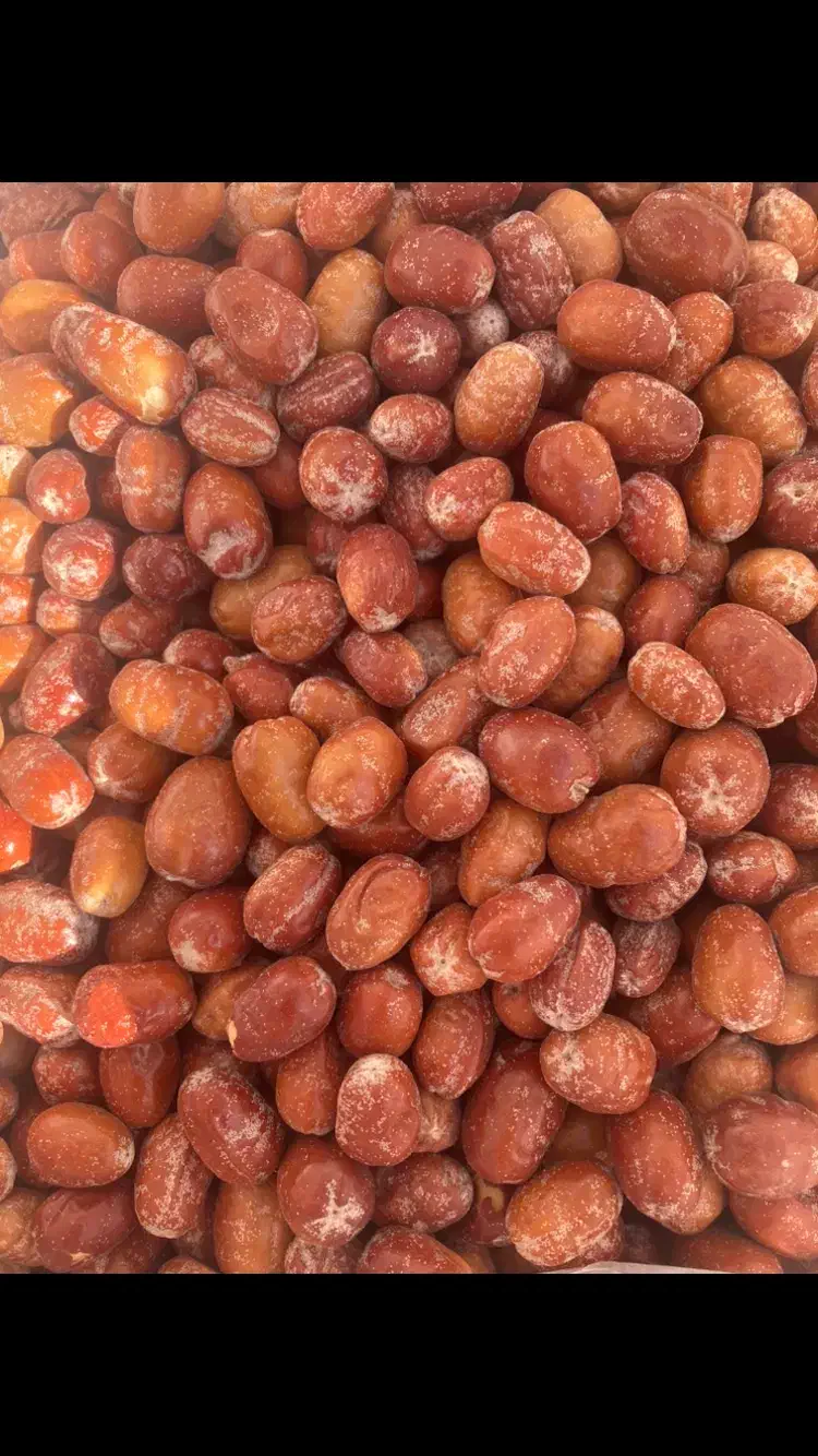 سنجد، پودر سنجد، عناب، قوتو|خوردنی و آشامیدنی|داراب, |دیوار