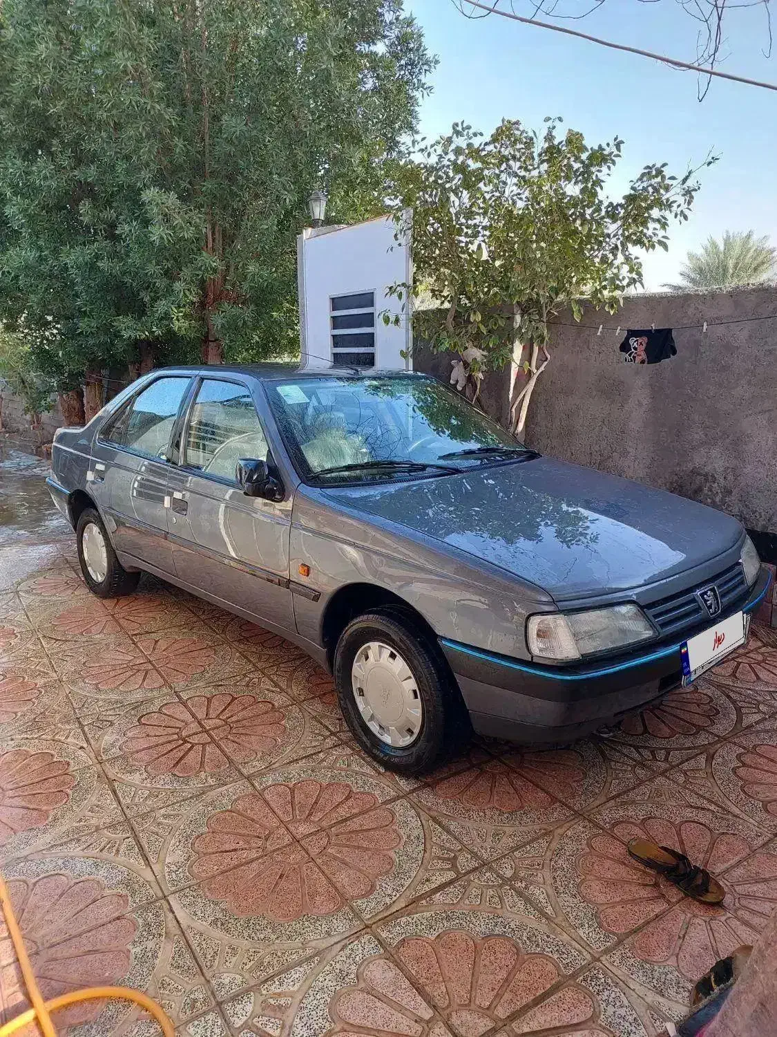 405دلفینی|خودرو سواری و وانت|جیرفت, |دیوار