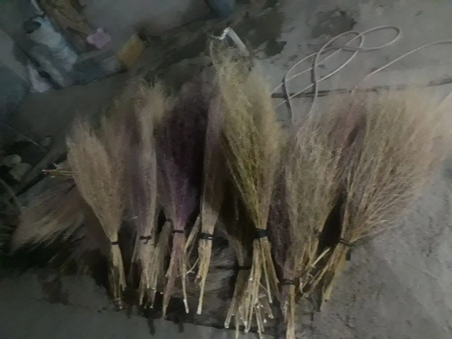 جارو رسیده وخشک|لوازم نظافت|نورآباد, |دیوار