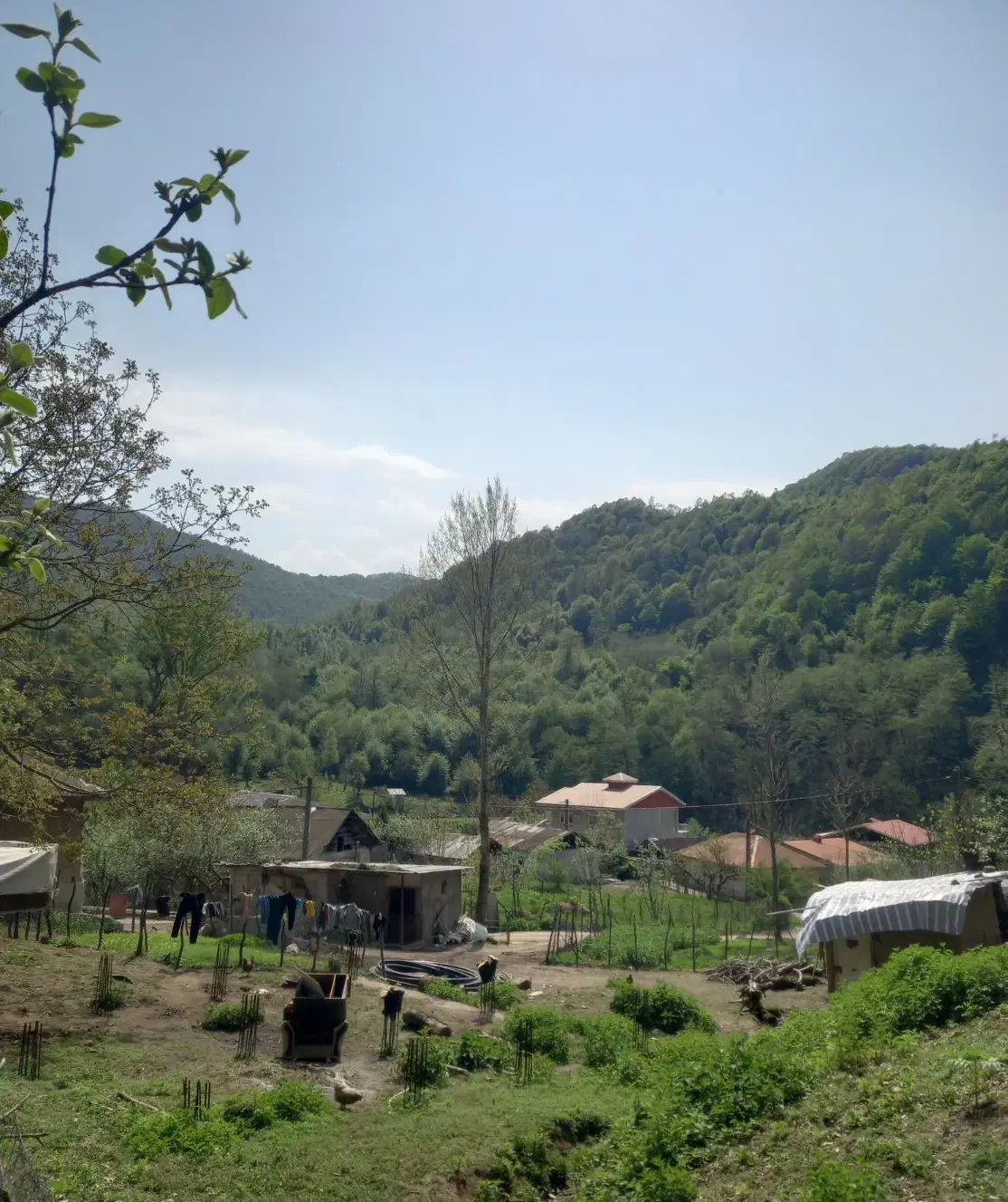 ۴۵۰ متر سند دار باپروانه ساخت۲۰۰ متری روستای دیورش|فروش زمین و ملک کلنگی|رودبار, |دیوار