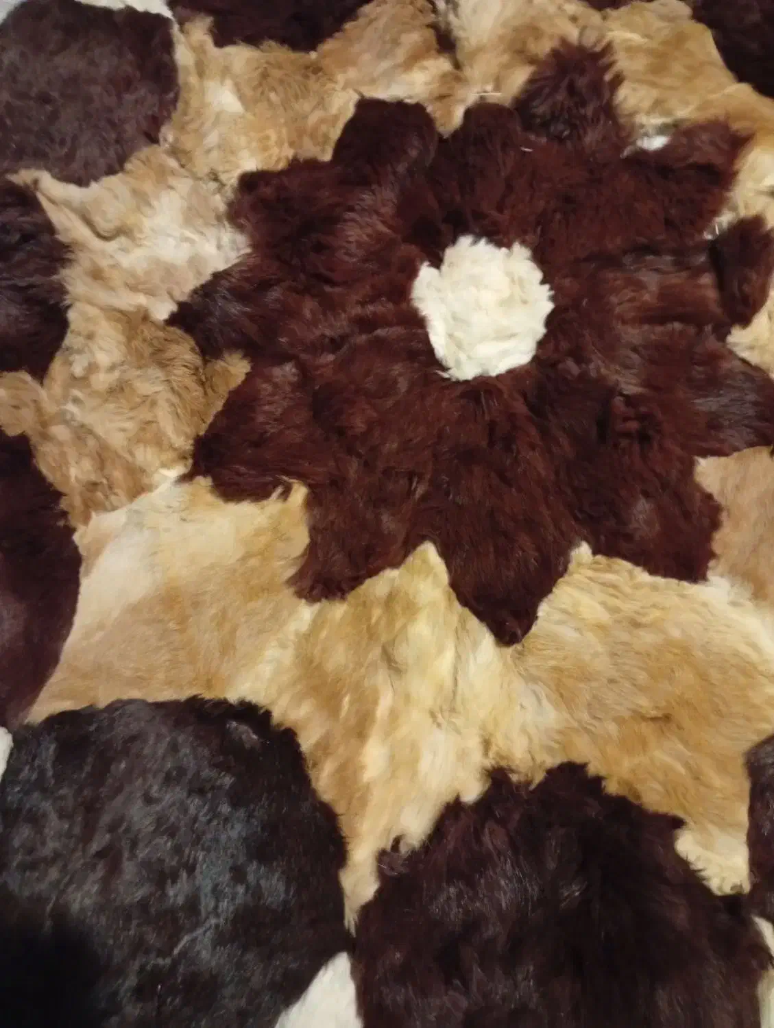 پادری پوست طبیعی|پادری|تهران, باغ فیض|دیوار