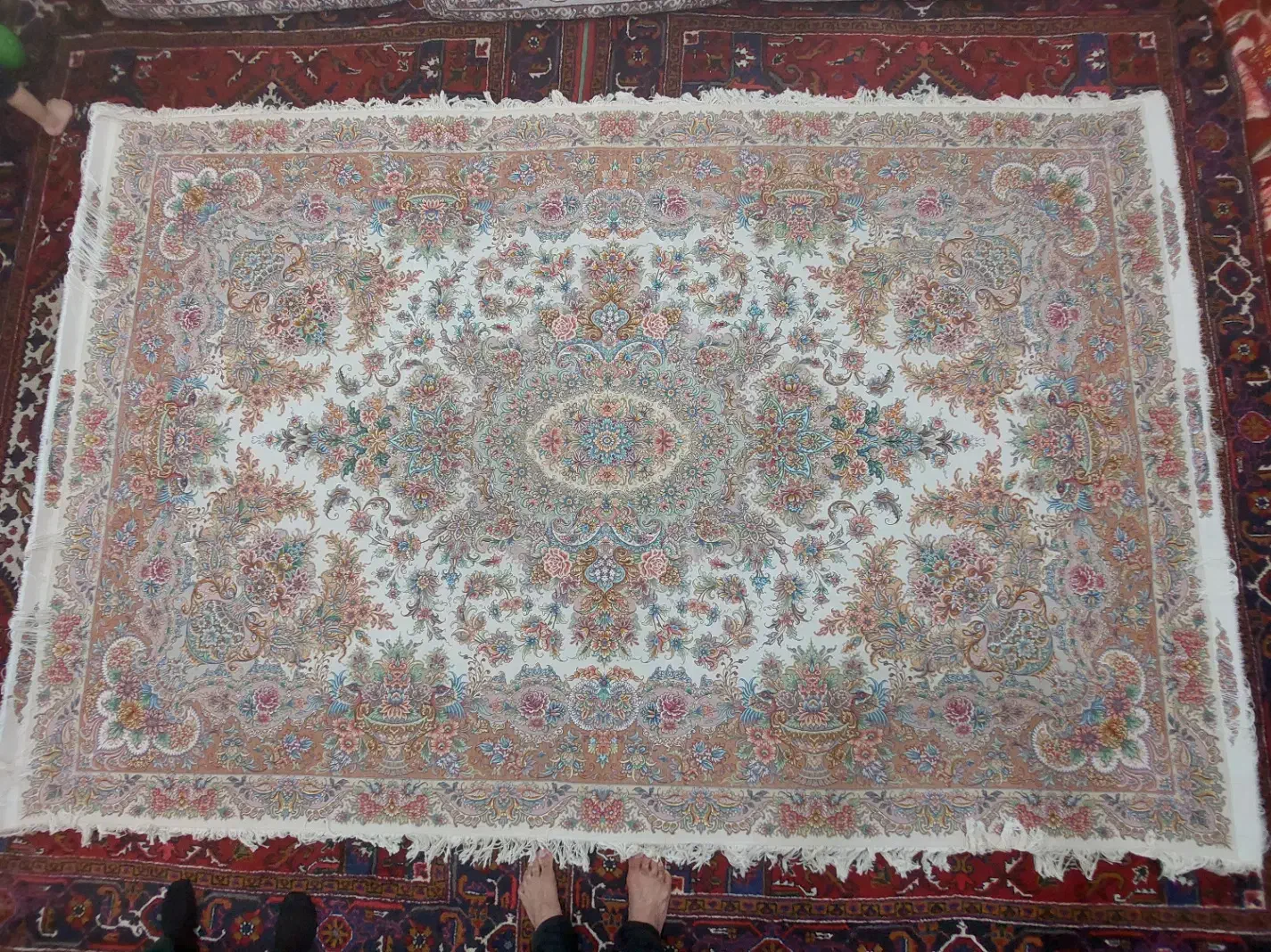 قالی 6 متری خطیبی|فرش|تبریز, |دیوار