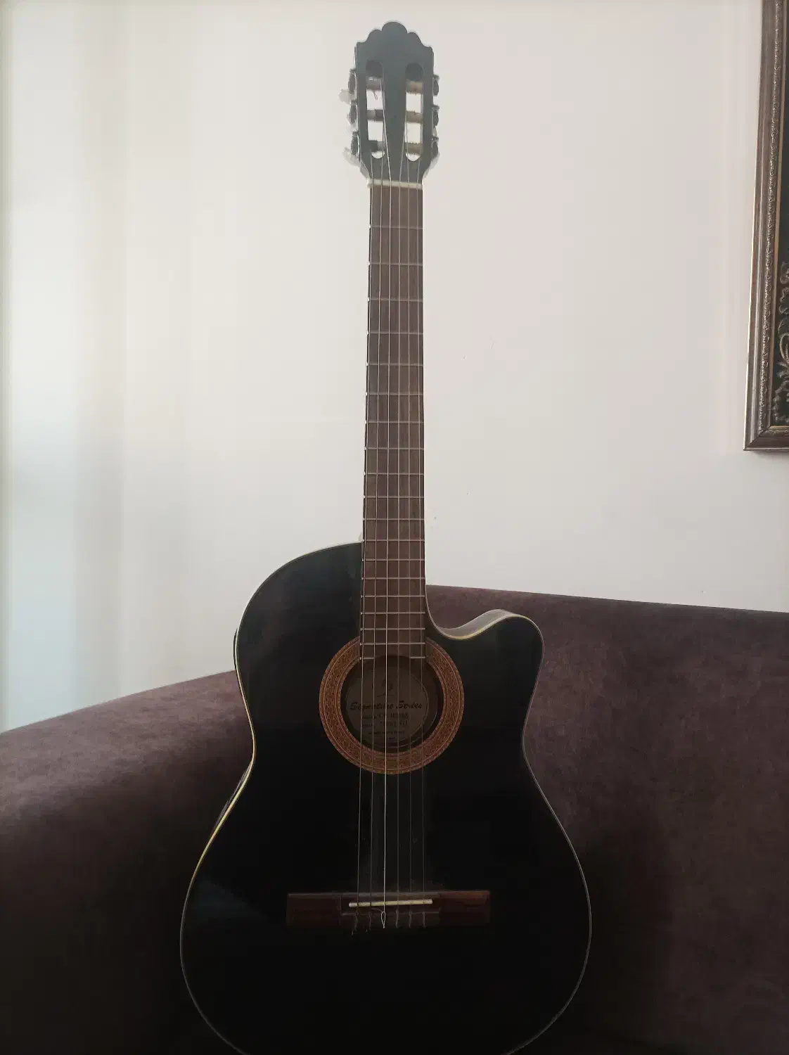 گیتار|گیتار، بیس، امپلیفایر|تهران, ارامنه|دیوار