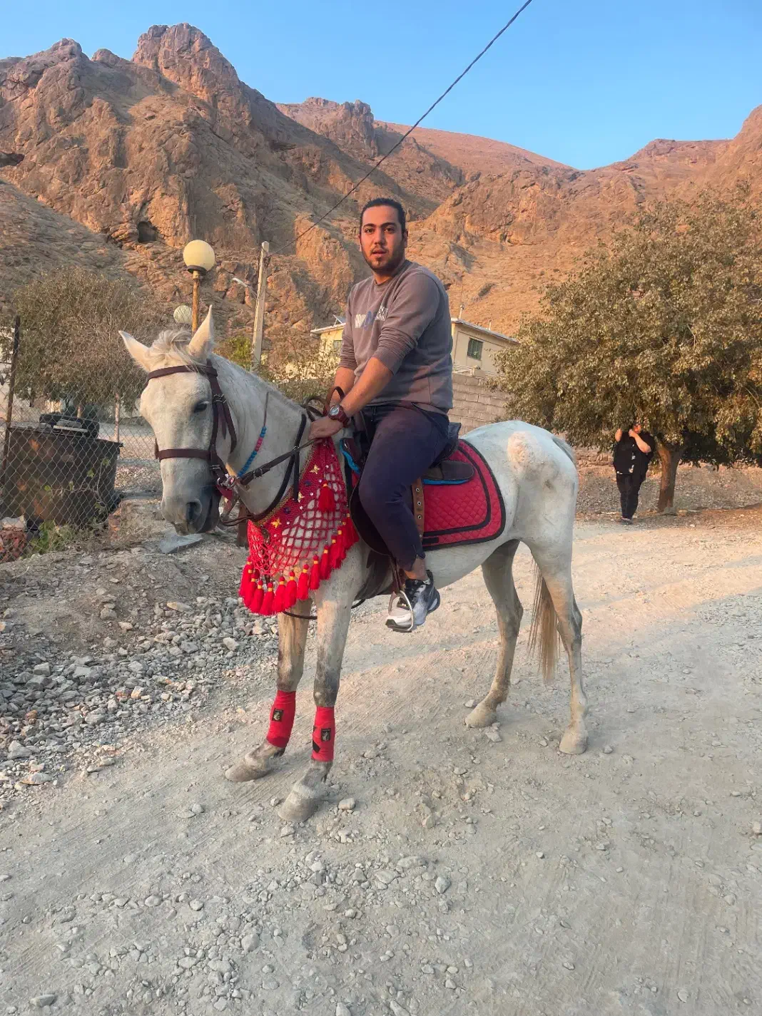 فروش اسب|اسب و تجهیزات اسبسواری|اراک, |دیوار