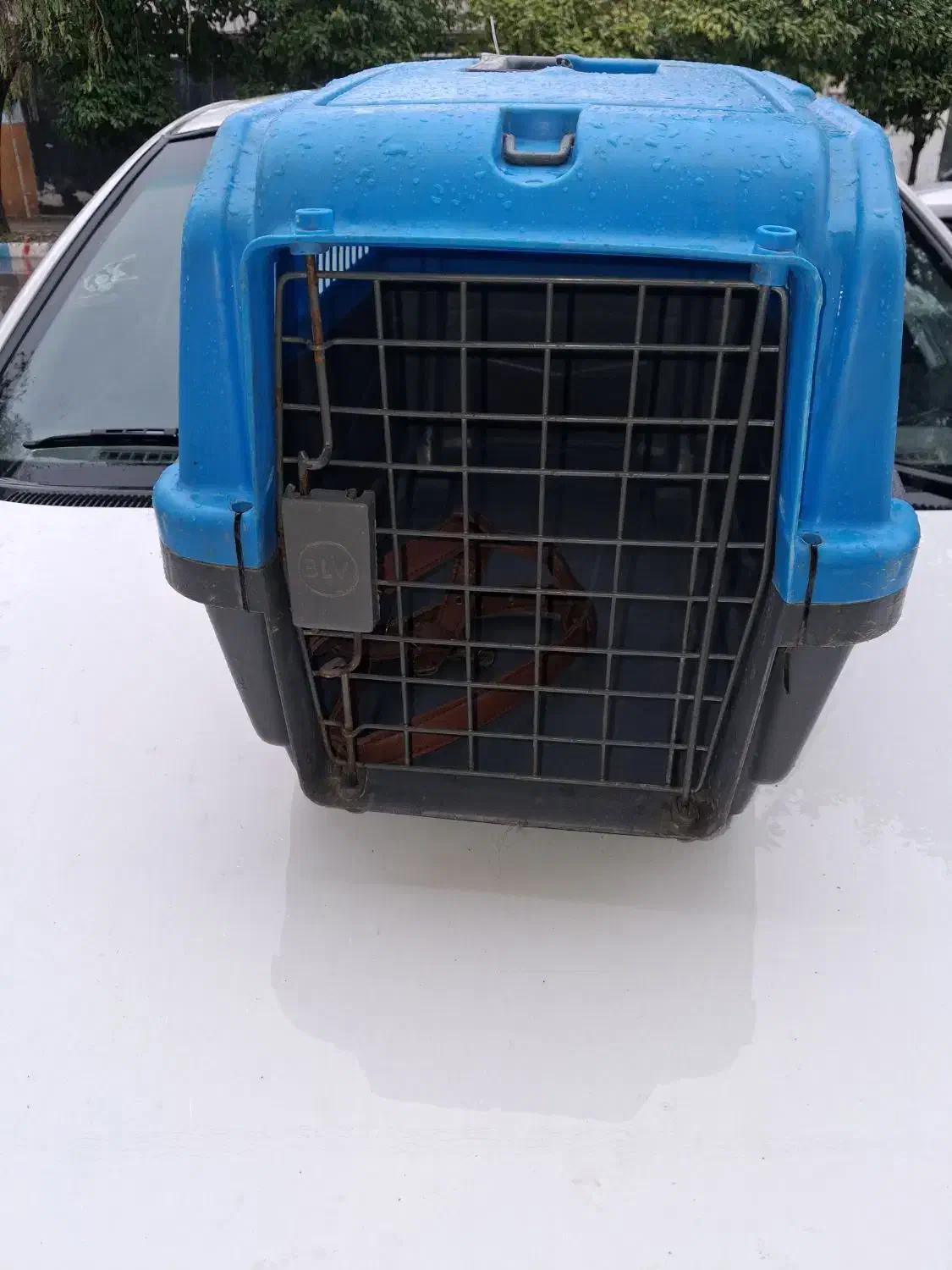 باکس حیوانات خانگی|لوازم جانبی حیوانات|بهشهر, |دیوار